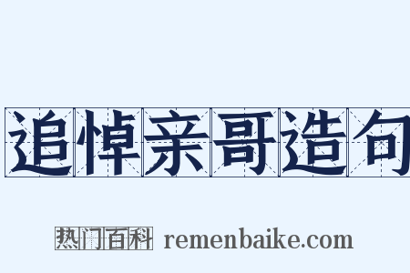 追悼亲哥造句是什么意思的图片